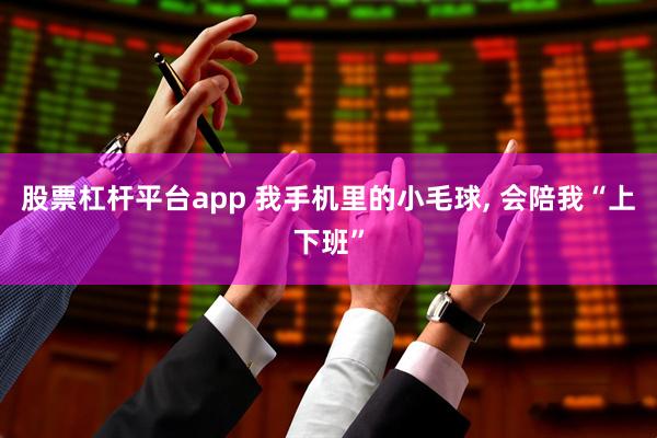 股票杠杆平台app 我手机里的小毛球, 会陪我“上下班”