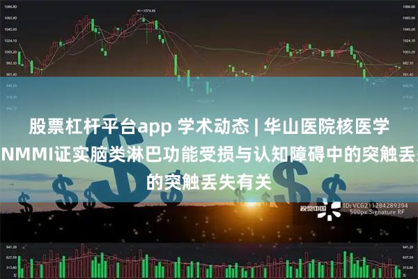 股票杠杆平台app 学术动态 | 华山医院核医学科在EJNMMI证实脑类淋巴功能受损与认知障碍中的突触丢失有关